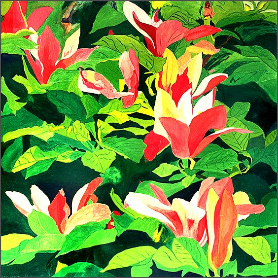 blomst6